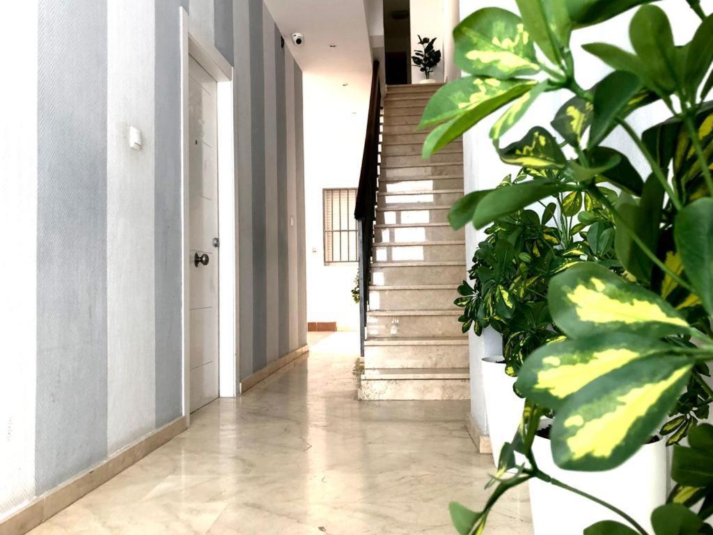 Appartement ¡Excelente Ubicacion! Casco Antiguo Málaga Extérieur photo